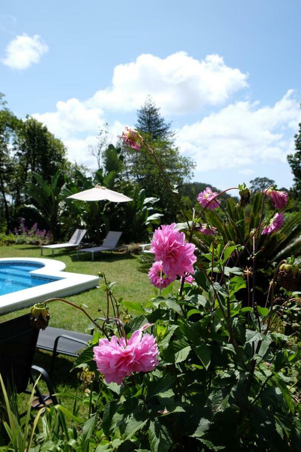 Pink House Azores Ponta Delgada Extérieur photo
